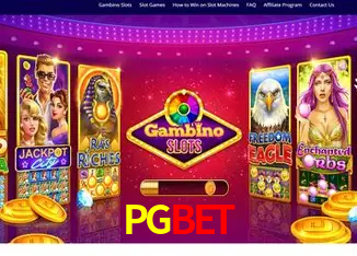 PGBET Rio de Janeiro - Bonus Terms